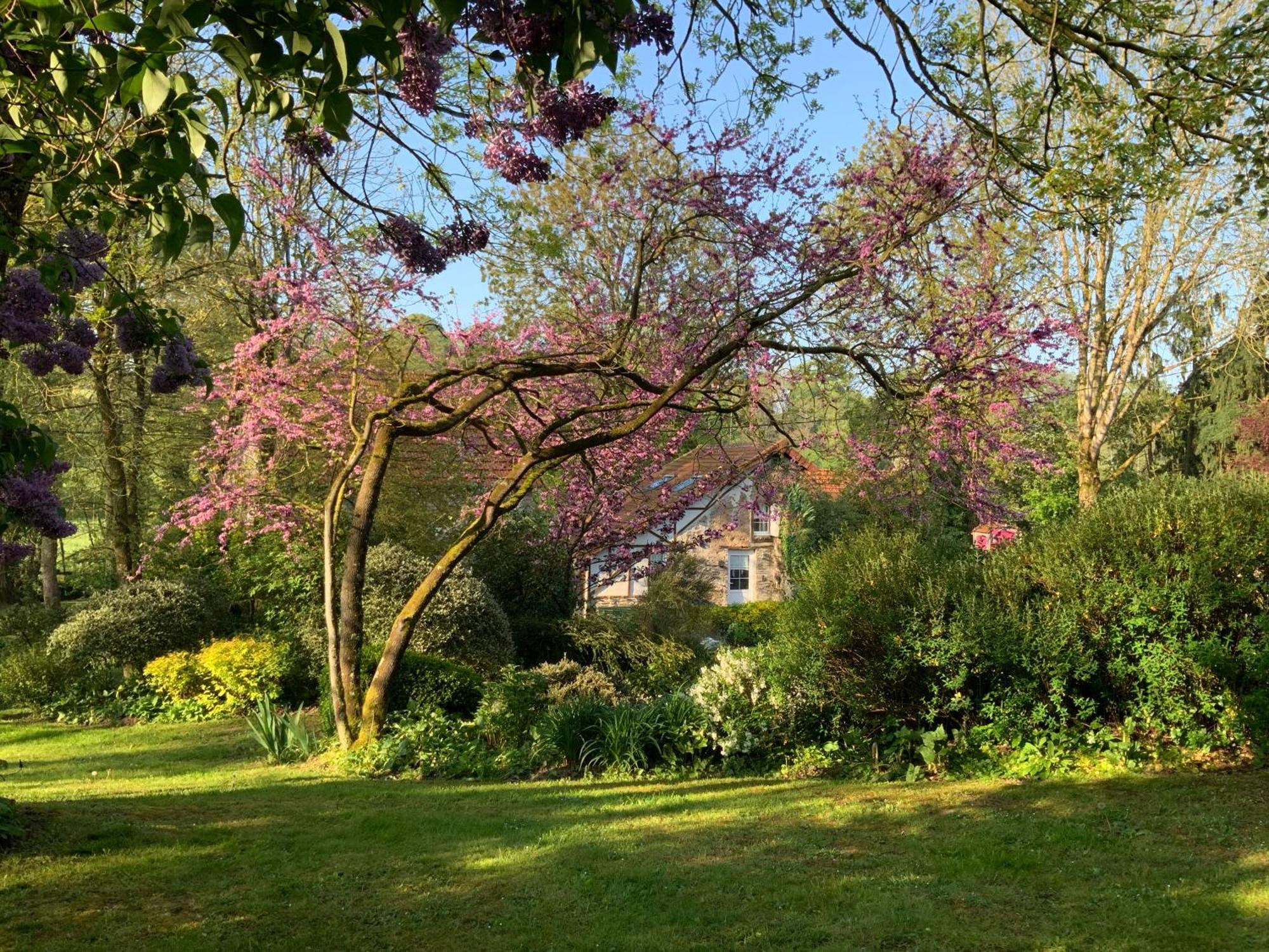 Bed and Breakfast Le Moulin De La Castellerie Moon-sur-Elle Exterior foto
