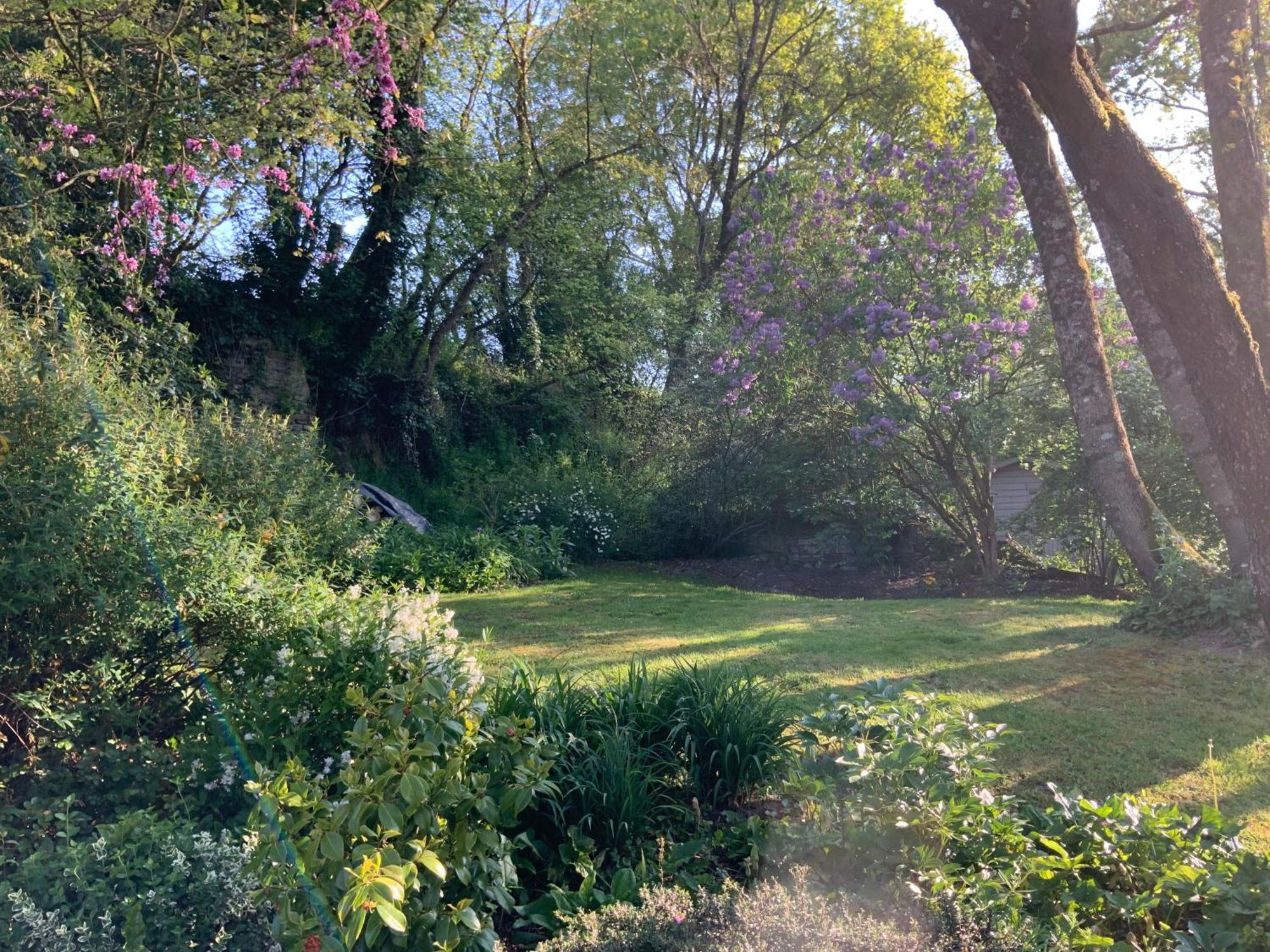 Bed and Breakfast Le Moulin De La Castellerie Moon-sur-Elle Exterior foto